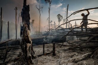 Rancher Jaim Teixeira surveys the landscape at the edge of his property, near Trairão in the Brazilian state of Pará. Teixeira lit the forest on fire to clear it so he can graze his cattle, though burning primary rainforest in the Amazon is illegal. Credit: Larry Price