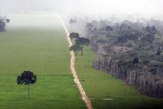 A soy plantation in the Amazon rainforest near Santarém in the state of Pará, Brazil, on May 13, 2006. Credit: Ricardo Beliel/Brazil Photos/LightRocket via Getty Images