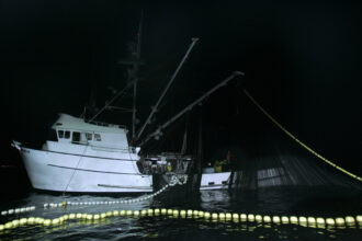 "Barbara H" pulls in its net as it is night fishing for squid off the San Pedro coastline in California. Credit: Ann Johansson/Corbis via Getty Images