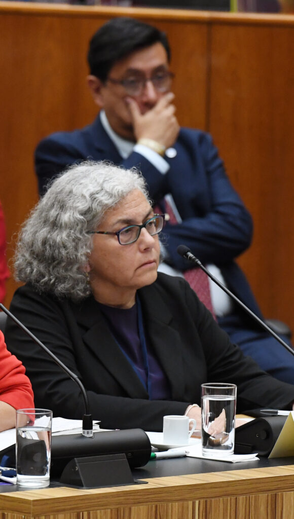 Judith Kimerling appears before the Inter-American Court of Human Rights on August 23, 2022. Credit: Courtesy of the Inter American Court of Human Rights.