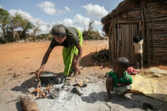 Helmine Monique Sija, about 50 years old, prepares raketa (cactus) to eat with her daughter Tolie, 10 years old, in the village of Atoby, commune of Behara, on Aug. 30, 2021. Research says climate change could make famines worse. Credit: Rijasolo/AFP via Getty Images