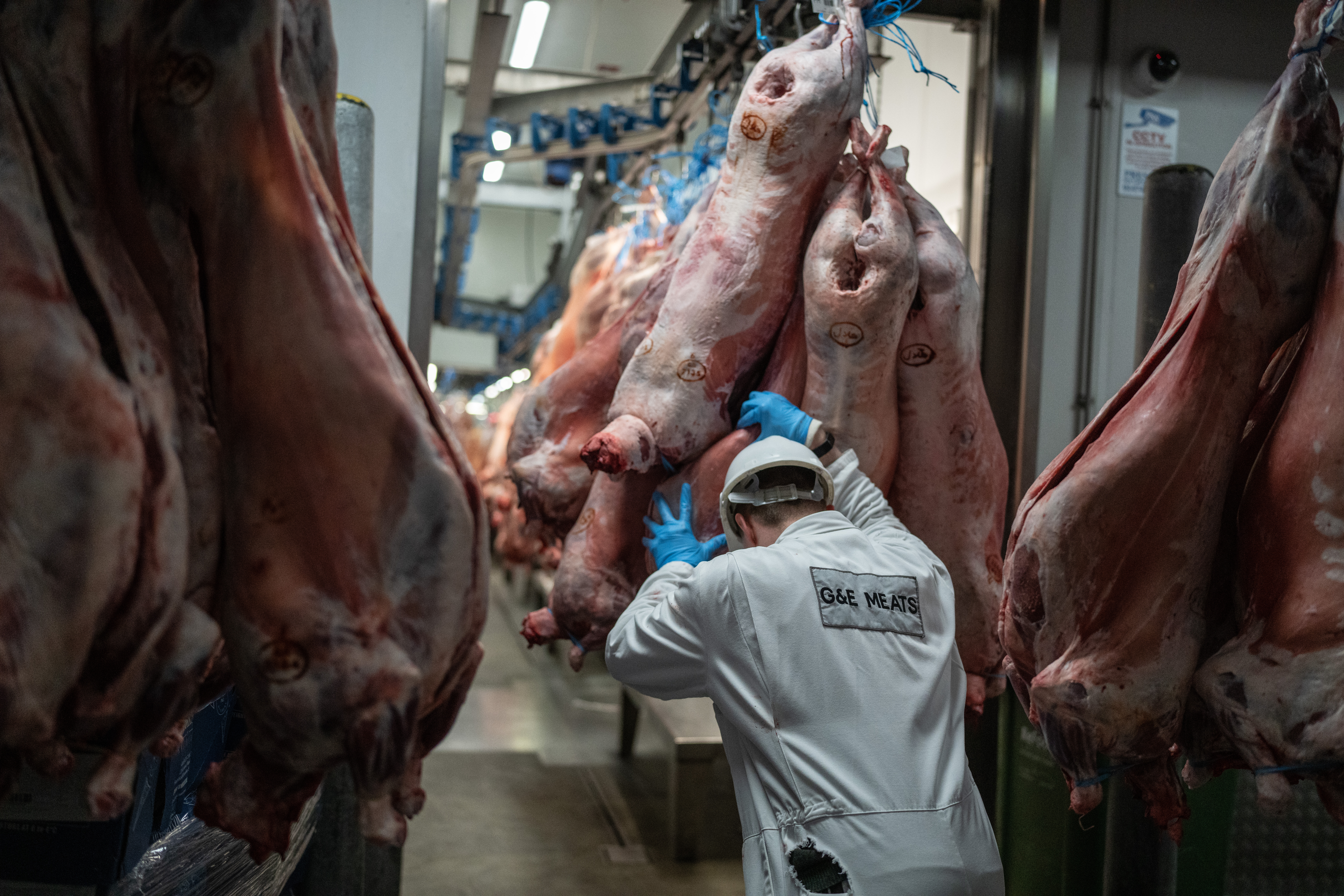 A worker moves newly-delivered pork to a wholesale butcher at Smithfield Market on Feb. 14, 2023 in London, England. Credit: Carl Court/Getty Images
