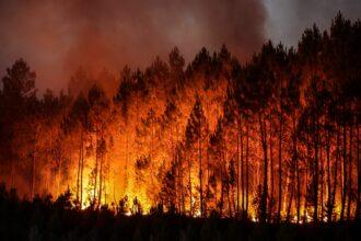A forest fire in Louchats, southwestern France, on July 17, 2022. Credit: Thibaud Moritz/AFP via Getty Images